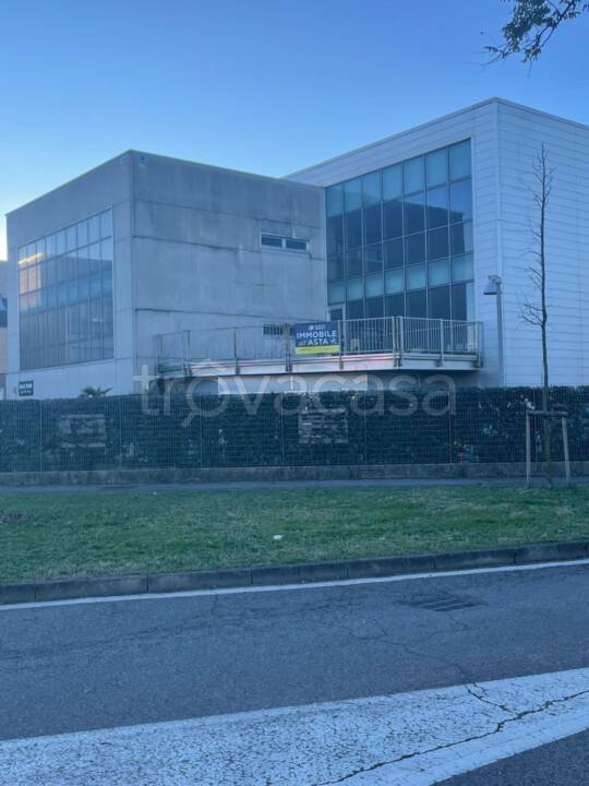 immagine annuncio 12 di 15