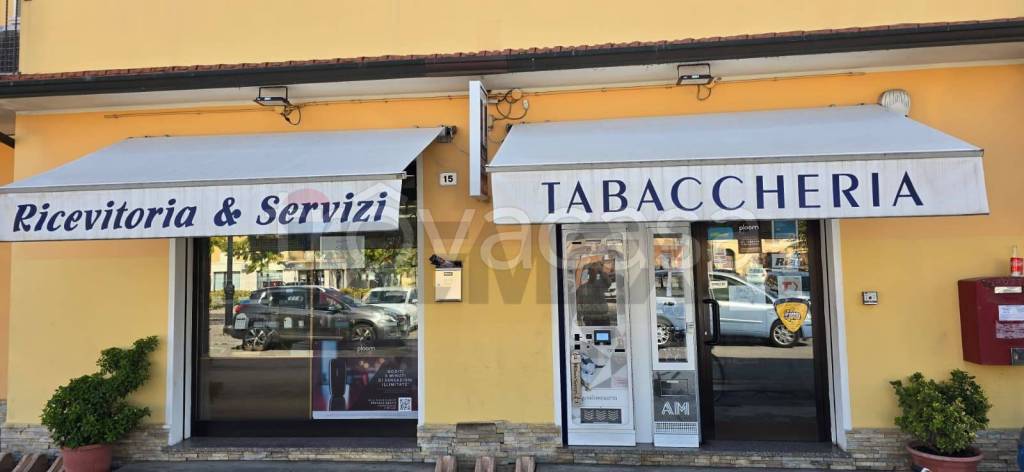 immagine annuncio 2 di 14