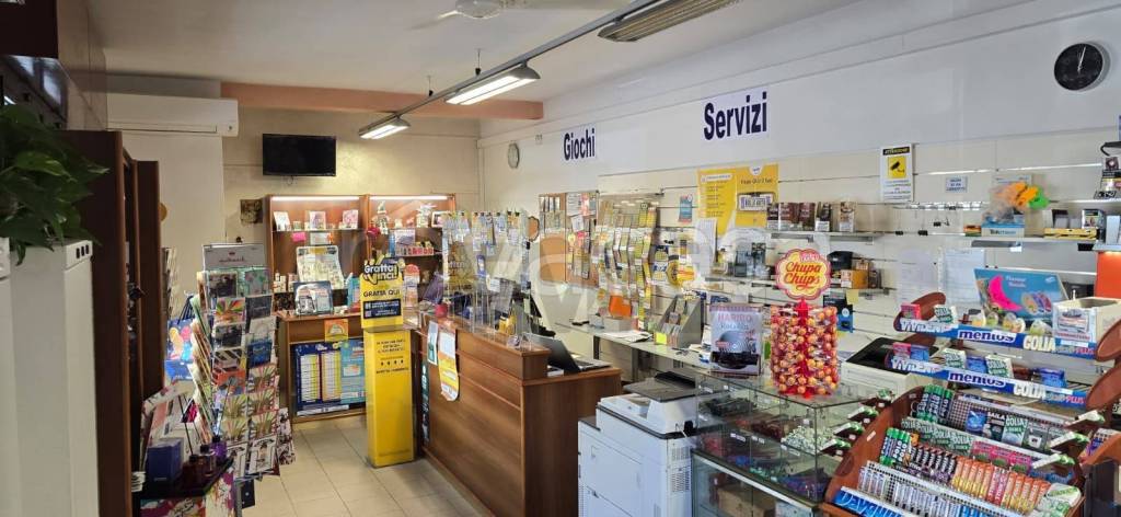 immagine annuncio 3 di 14