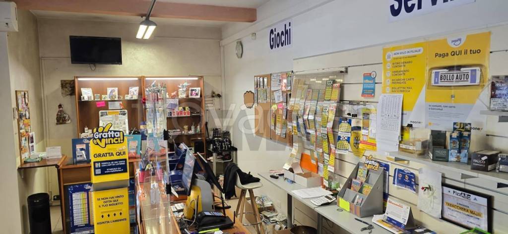 immagine annuncio 4 di 14