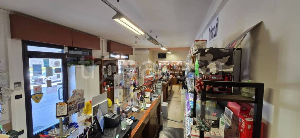 immagine annuncio 5 di 14