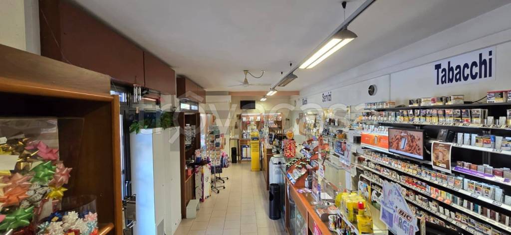 immagine annuncio 6 di 14