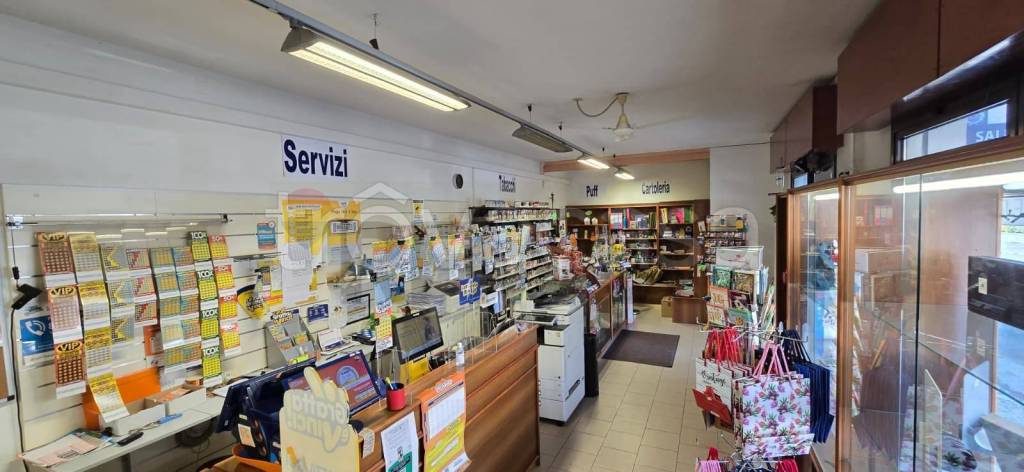 immagine annuncio 7 di 14