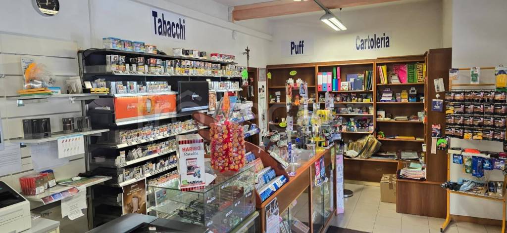 immagine annuncio 8 di 14