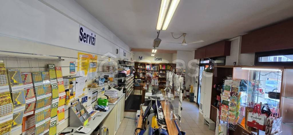 immagine annuncio 9 di 14