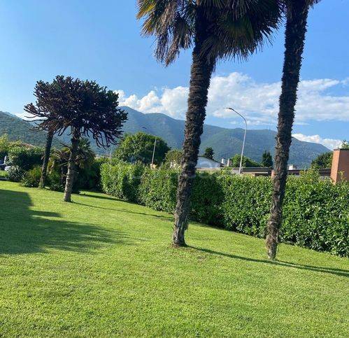 immagine annuncio 1 di 12