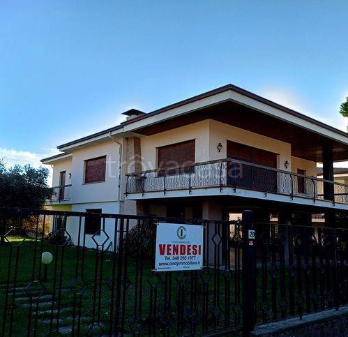 immagine annuncio 3 di 12