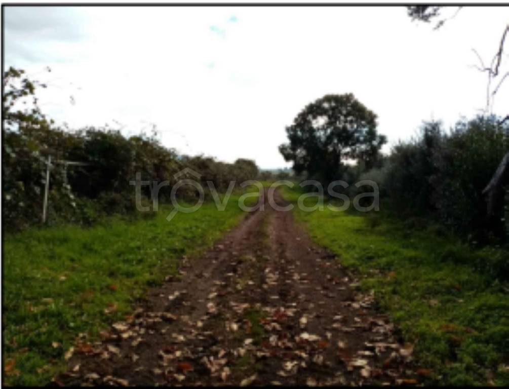 immagine annuncio 8 di 11