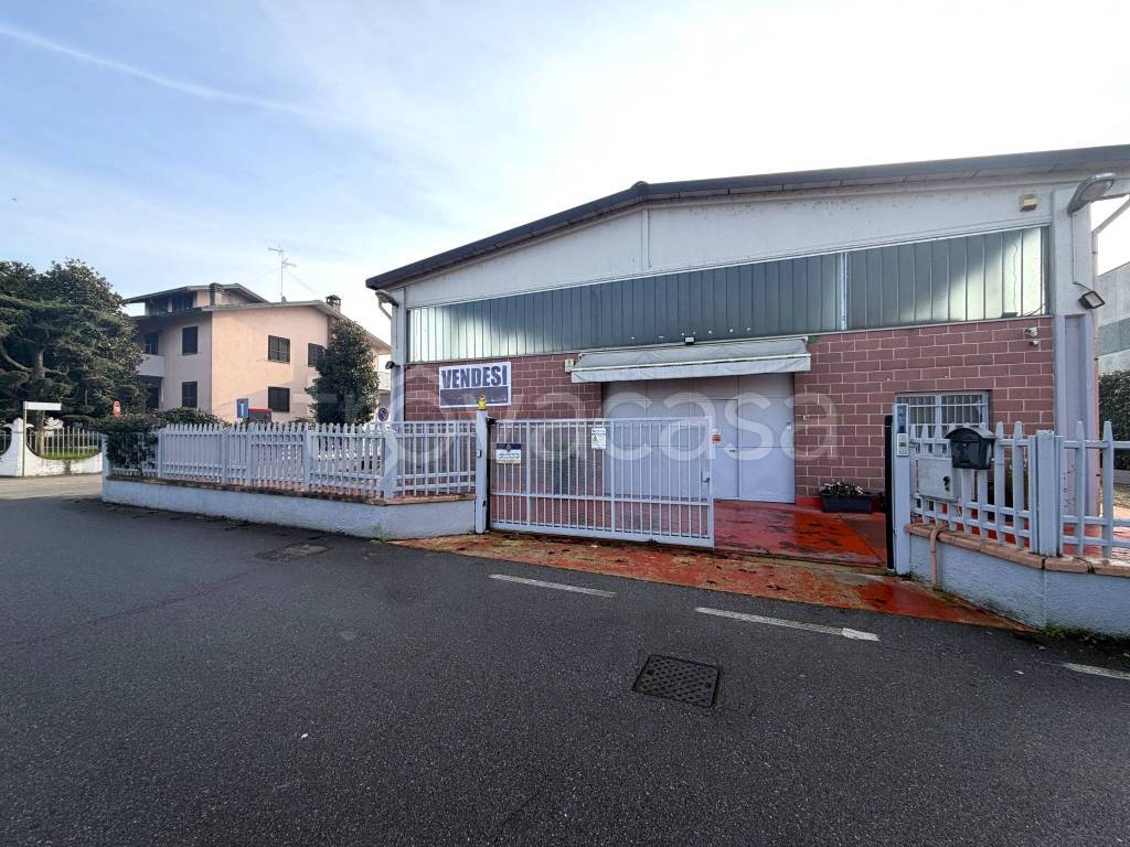 immagine annuncio 1 di 11