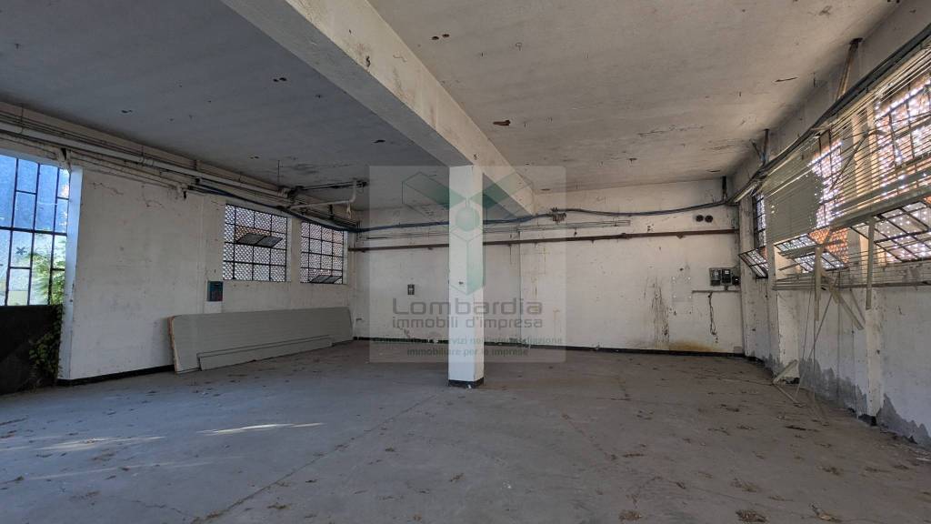 immagine annuncio 9 di 12