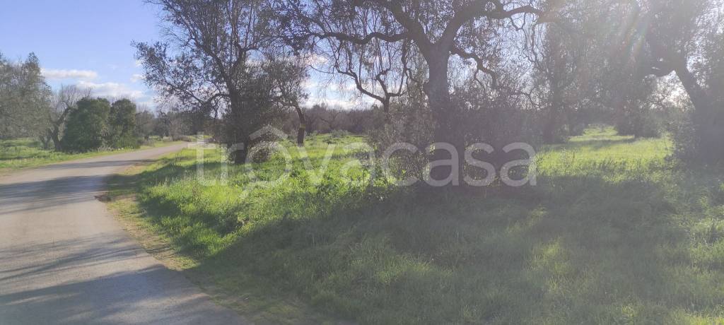 immagine annuncio 1 di 6