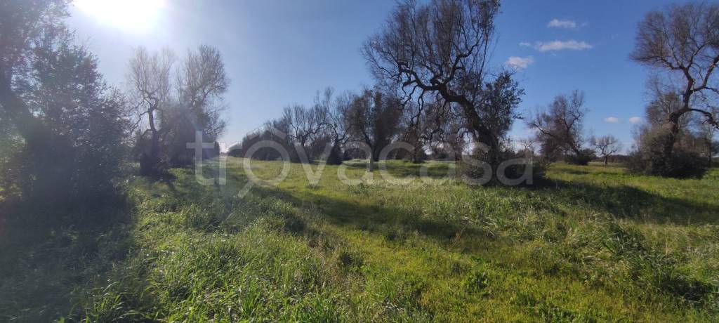 immagine annuncio 5 di 6