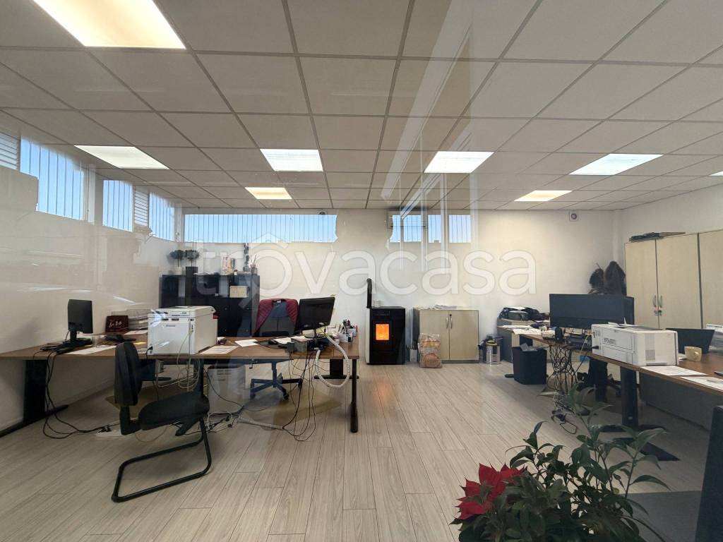 immagine annuncio 6 di 11