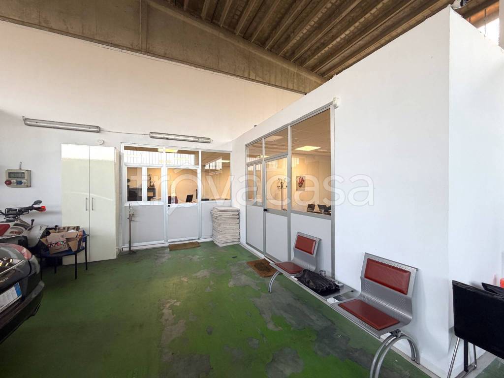 immagine annuncio 7 di 11