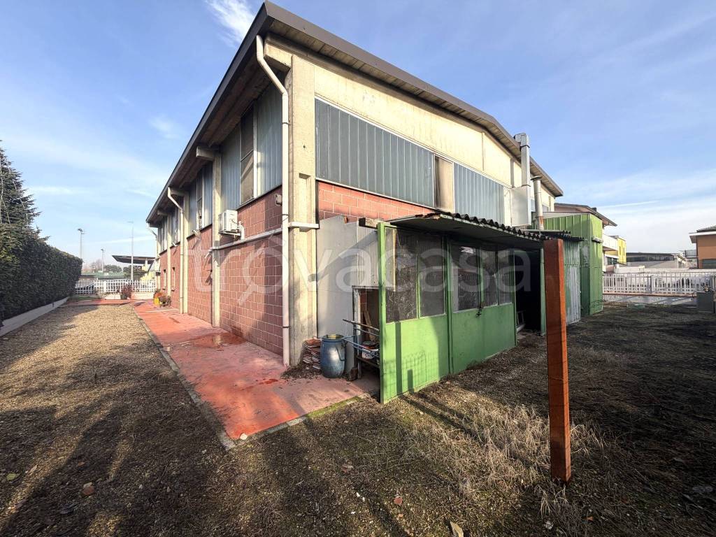 immagine annuncio 9 di 11