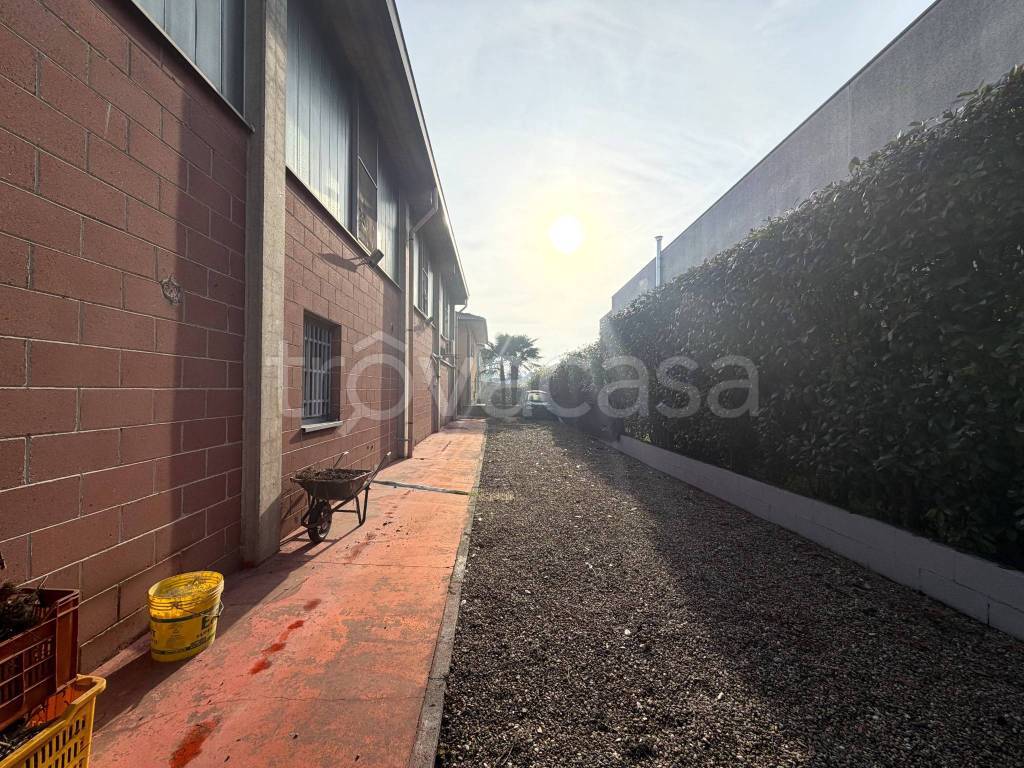 immagine annuncio 10 di 11