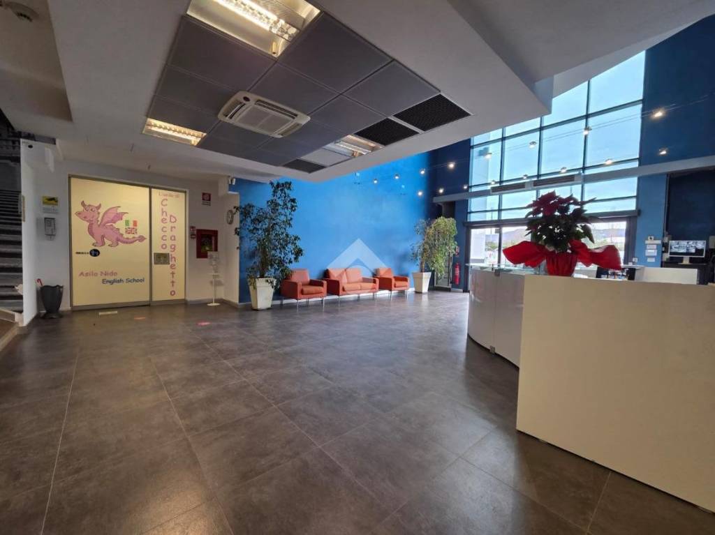 immagine annuncio 11 di 15