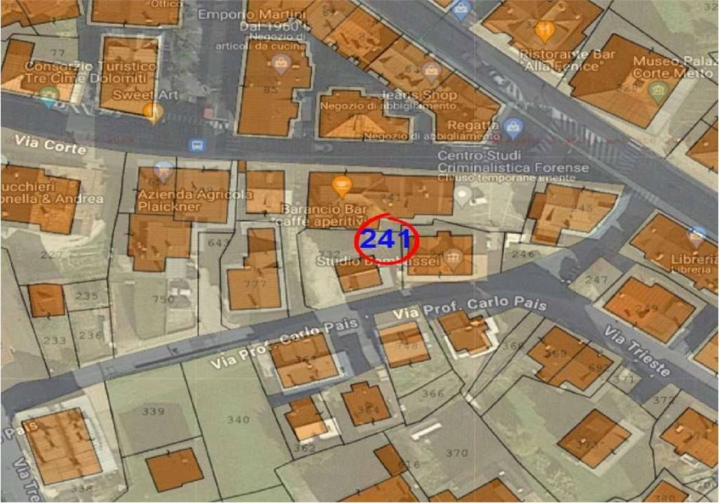 immagine annuncio 12 di 15