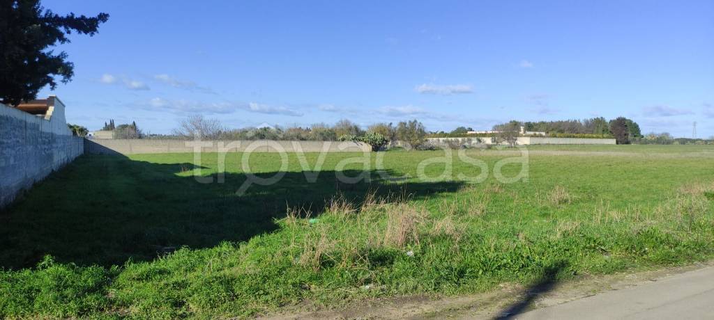 immagine annuncio 3 di 4