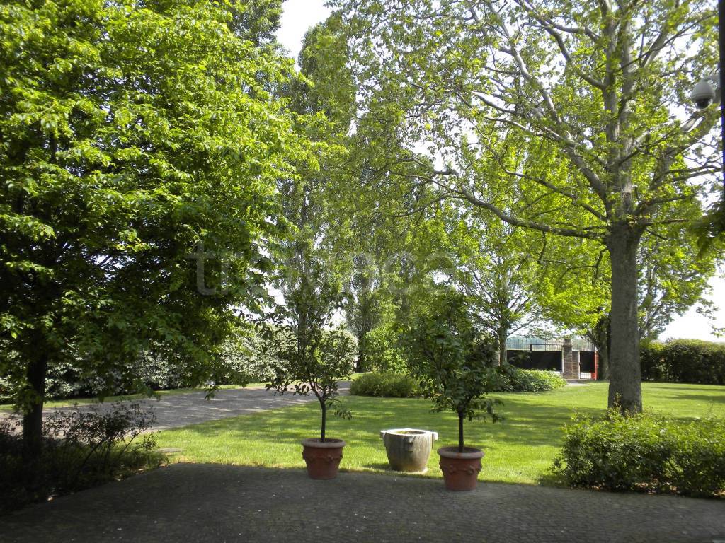 immagine annuncio 6 di 13