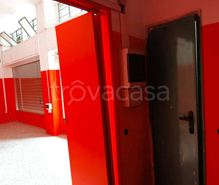 immagine annuncio 9 di 15