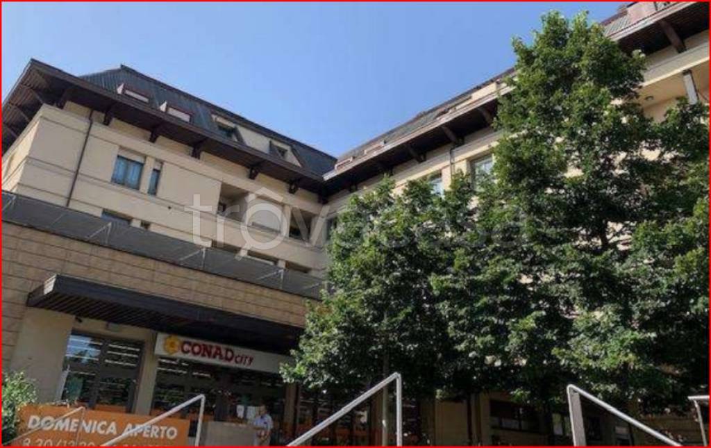 immagine annuncio 2 di 12