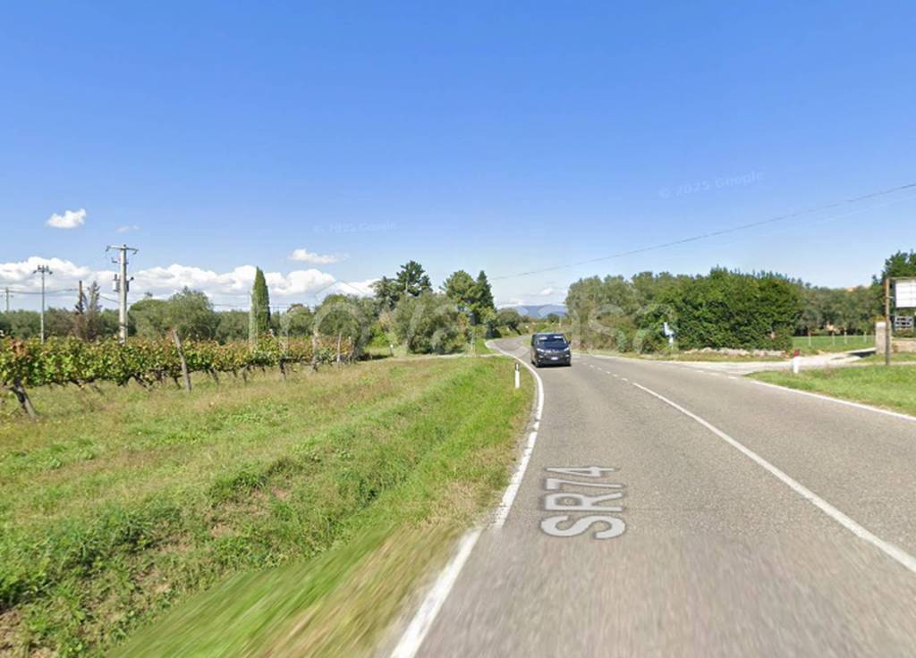 immagine annuncio 2 di 12