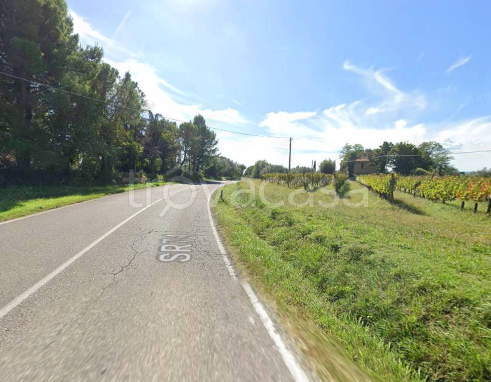 immagine annuncio 9 di 12