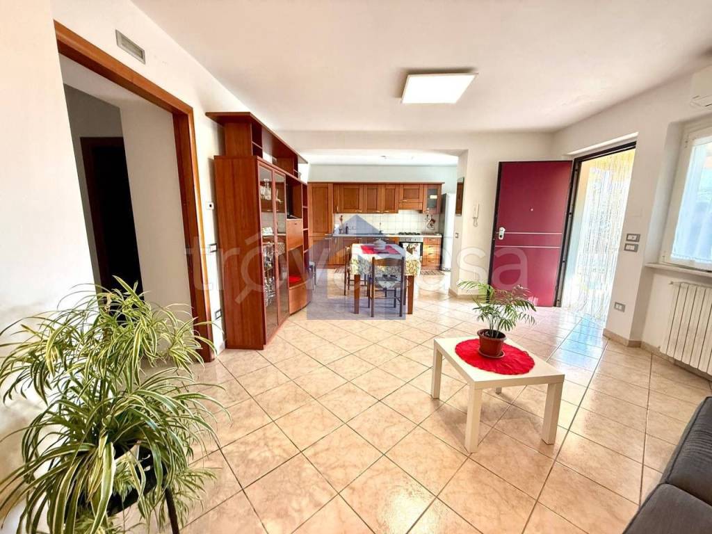 immagine annuncio 11 di 15