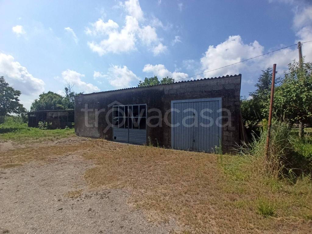 immagine annuncio 5 di 15