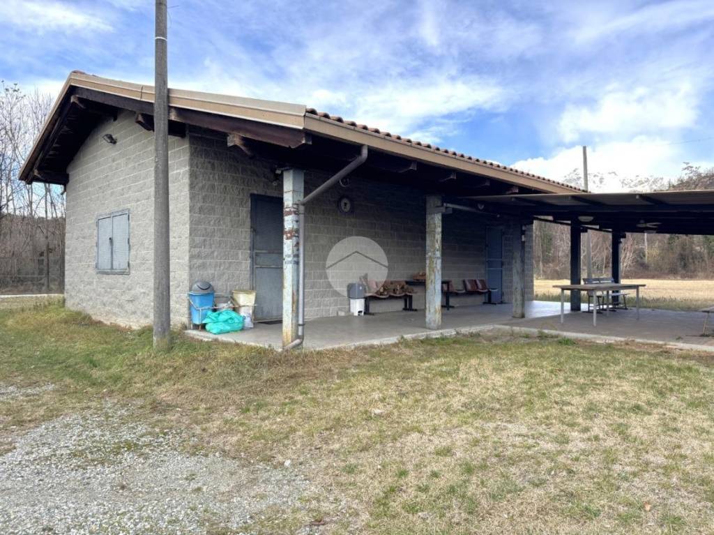 immagine annuncio 1 di 13