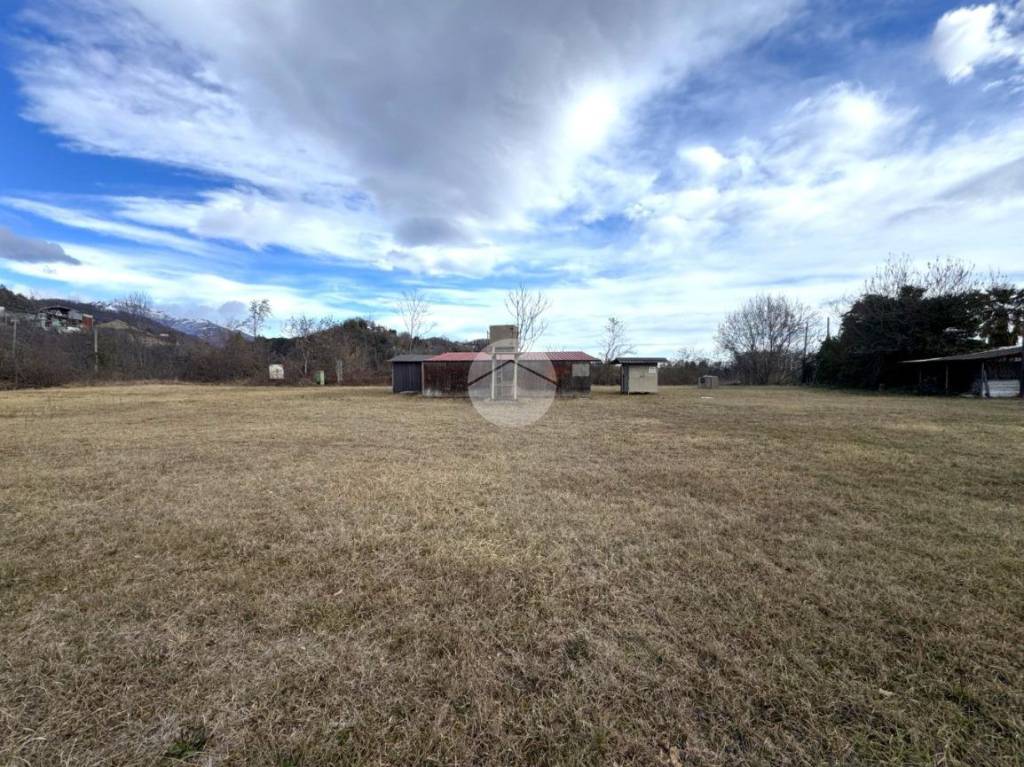 immagine annuncio 10 di 13