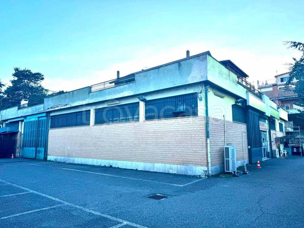 immagine annuncio 3 di 8