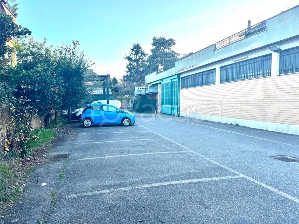 immagine annuncio 4 di 8