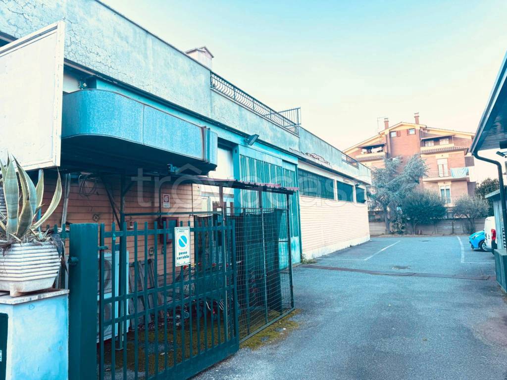 immagine annuncio 6 di 8