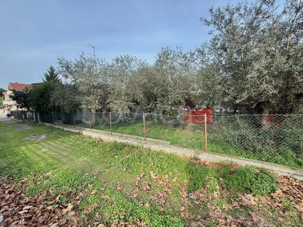 immagine annuncio 2 di 7