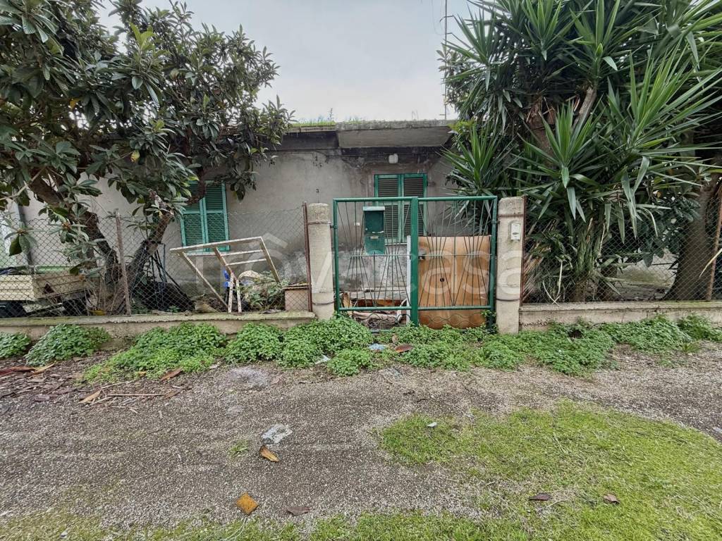 immagine annuncio 4 di 7