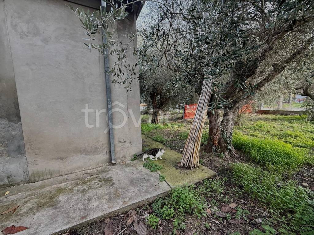 immagine annuncio 5 di 7