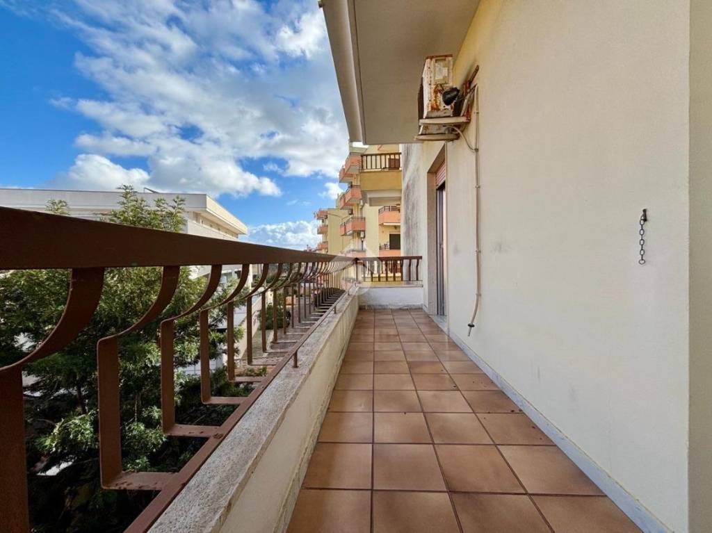 immagine annuncio 1 di 14