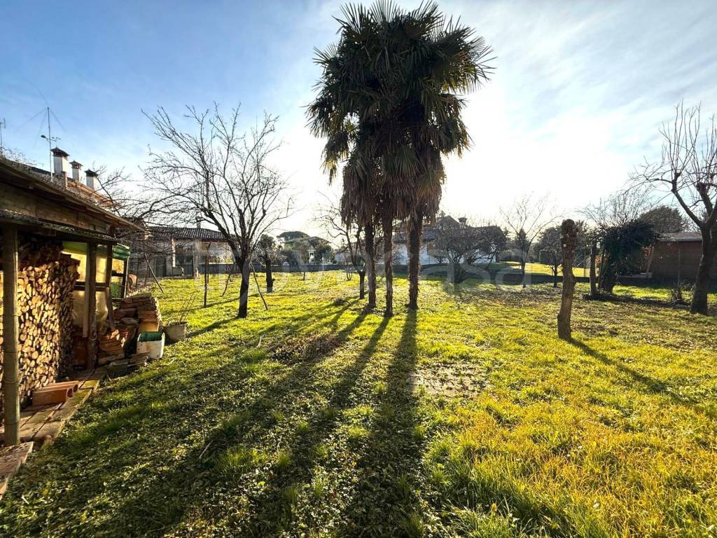 immagine annuncio 11 di 14