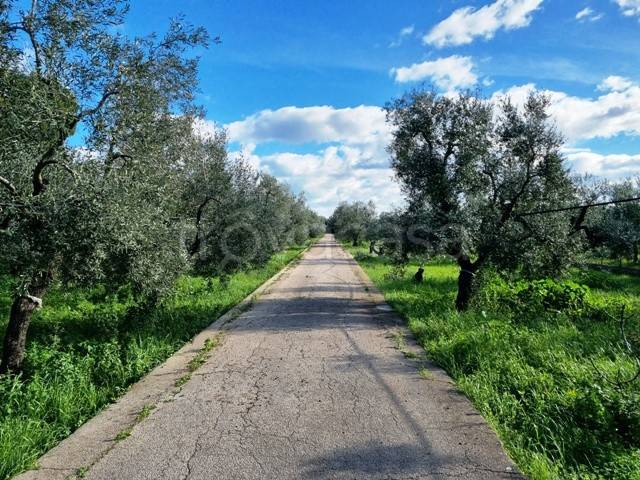 immagine annuncio 1 di 8