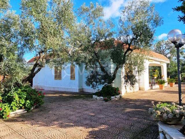 immagine annuncio 4 di 8