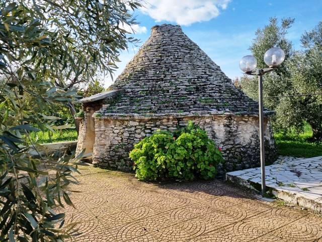 immagine annuncio 5 di 8