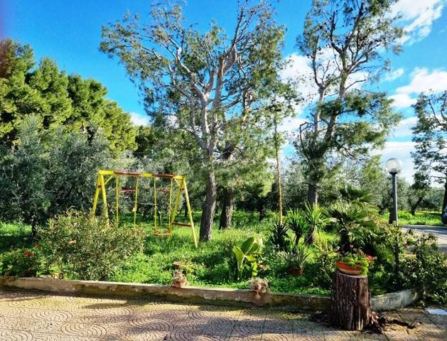 immagine annuncio 6 di 8