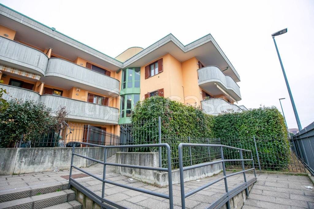 immagine annuncio 1 di 15