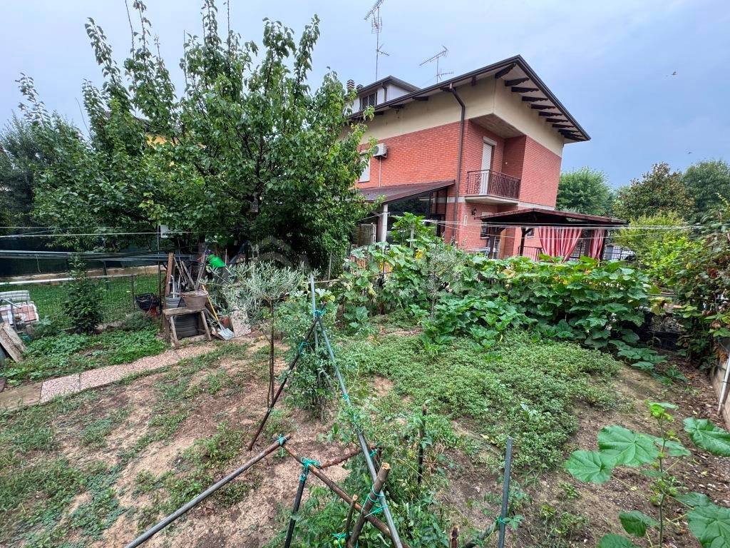 immagine annuncio 8 di 15