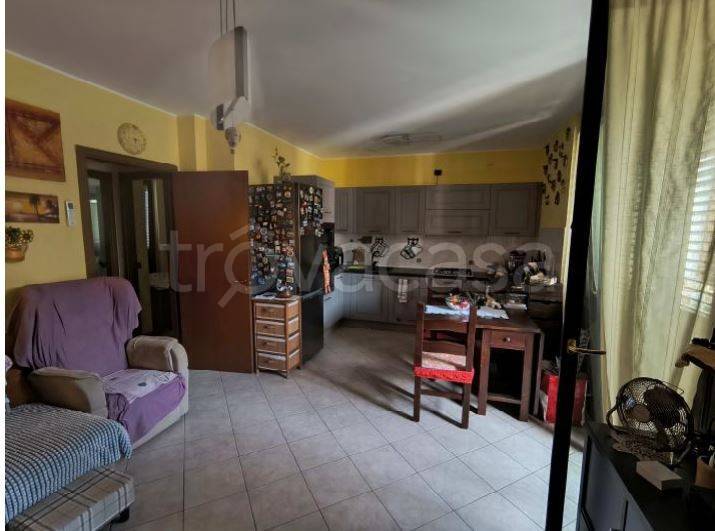 immagine annuncio 5 di 14