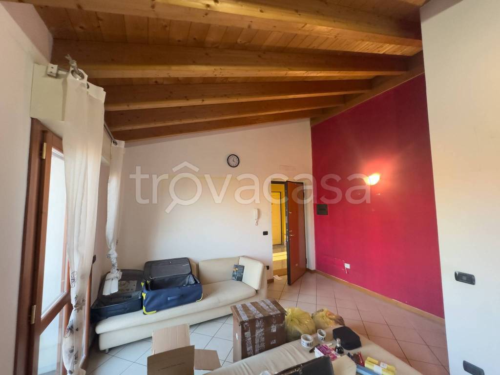 immagine annuncio 3 di 14