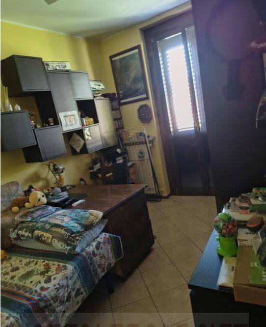 immagine annuncio 11 di 14