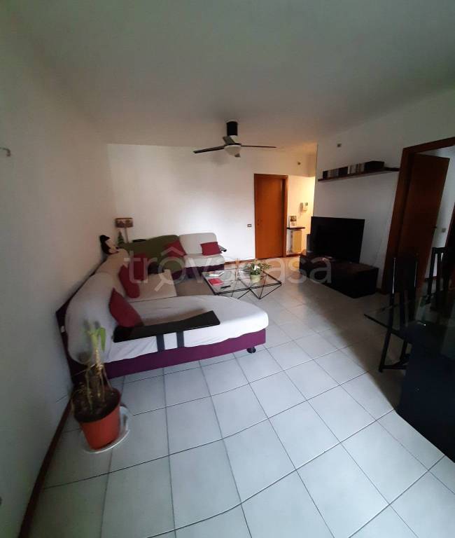 immagine annuncio 4 di 9